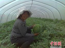 江苏宿迁吃瓜事件视频最新,一场引发热议的街头冲突瞬间