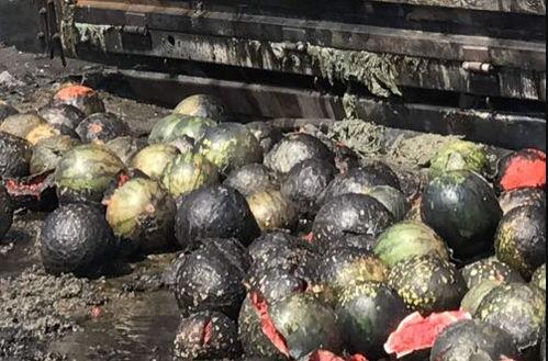 衡阳烧烤吃瓜群众事件