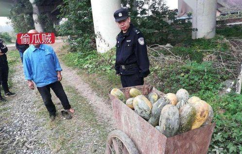 南宁霸凌吃瓜事件真相,揭开真相，还原校园暴力背后的真相