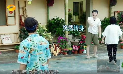 高碑店吃瓜事件真相,真相背后的惊人内幕