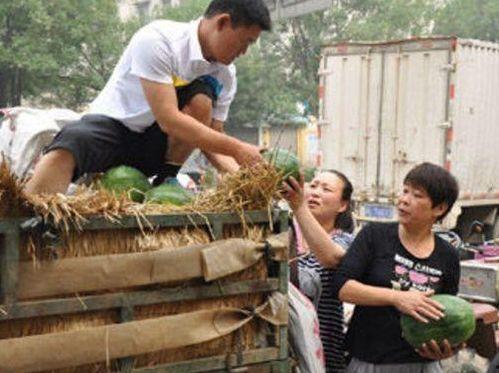 汝南县吃瓜事件真相揭秘