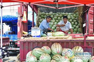 常州吃瓜事件,一场网络舆论的风波与反思