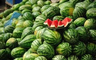 商洛吃瓜事件视频最新进展,最新视频揭露惊人内幕，真相逐渐浮出水面