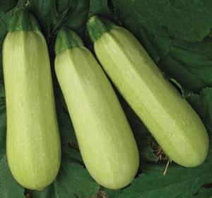 咸阳吃瓜事件视频最新进展,最新进展揭秘，真相大白！