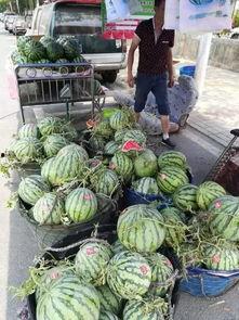 沂水直播吃瓜事件,揭秘网络直播背后的争议与反思