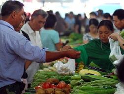 镇江吃瓜新闻事件最新,一场网络舆论的风暴与反思