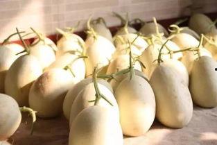 安心一中吃瓜事件