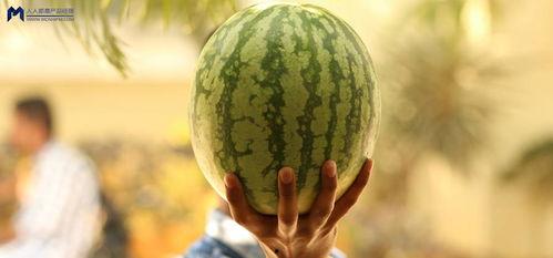 火爆的吃瓜事件,火爆事件背后的真相揭秘