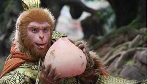 悟空吃瓜事件视频播放在线观看