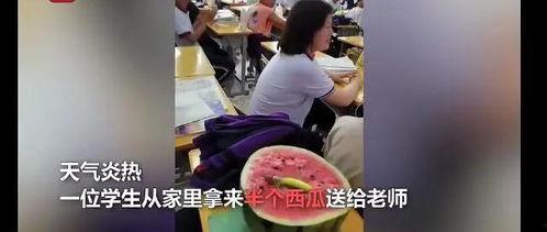 香河老师吃瓜事件视频,一场网络风波引发的思考