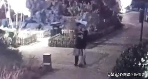 汉川吃瓜事件真相视频,真相视频曝光背后的真相